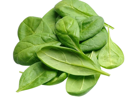 سبزینک-اسفناج-مزرعه-وارش