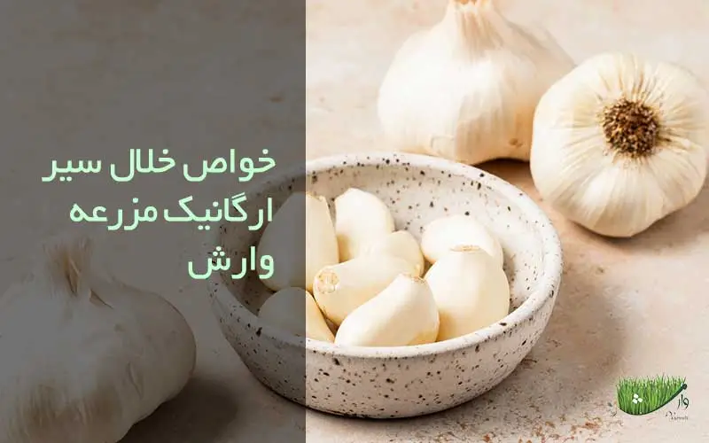 فروشگاه مزرعه وارش - خواص خلال سیر ارگانیک مزرعه وارش