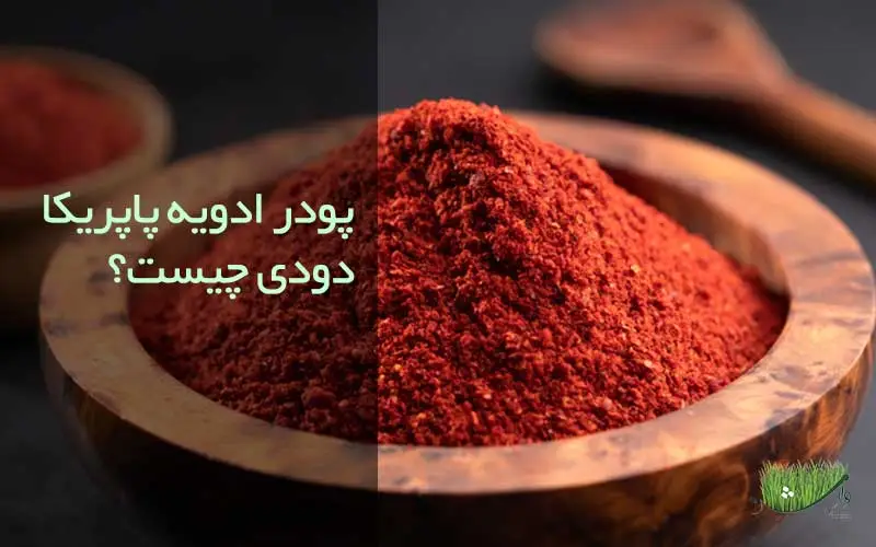 فروشگاه مزرعه وارش-پودر ادویه پاپریکا دودی چیست؟