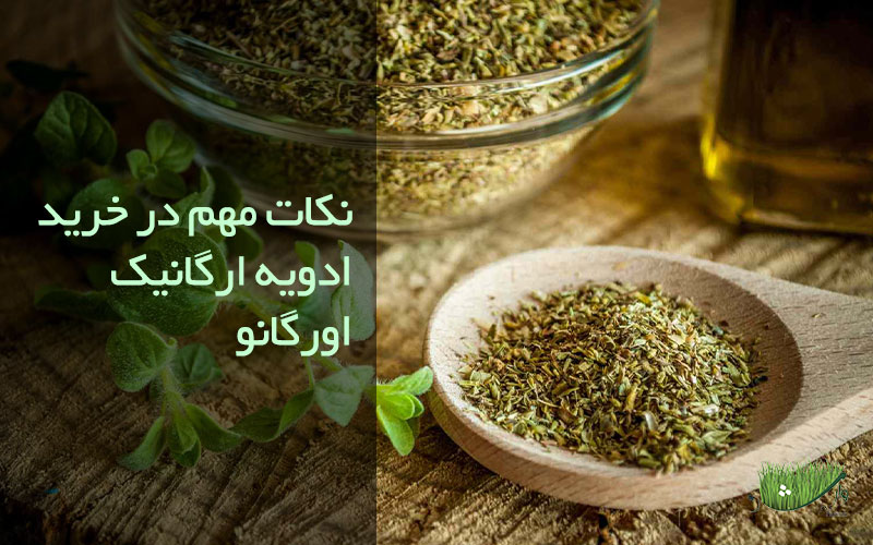 فروشگاه محصولات ارگانیک مزرعه وارش - نکات مهم در خرید ادویه ارگانیک اورگانو