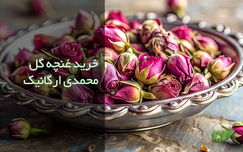 فروشگاه محصولات ارگانیک مزرعه وارش - خرید غنچه گل محمدی ارگانیک