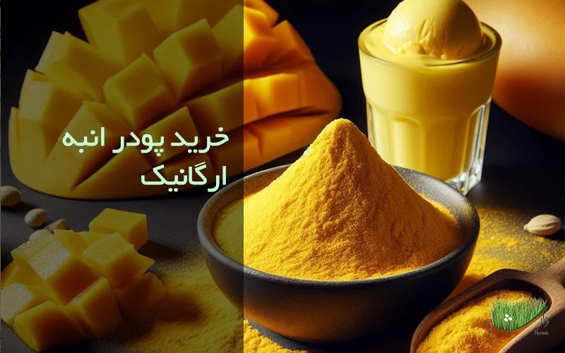 مزرعه وارش - خرید پودر انبه ارگانیک