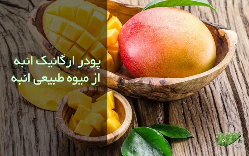 پودر انبه چیست و چه کاربردی دارد؟ - فروشگاه مزرعه وارش