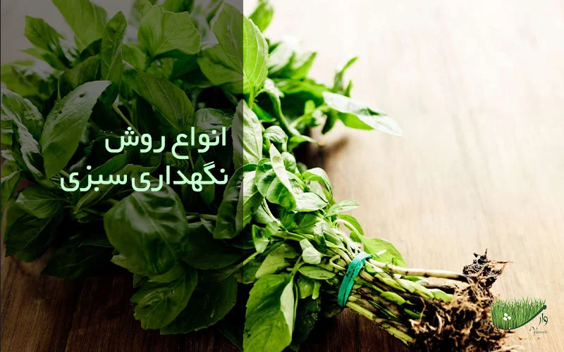 مزرعه وارش - انواع روش نگهداری سبزی