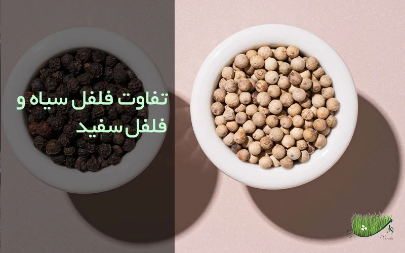 فروشگاه محصولات ارگانیک مزرعه وارش-تفاوت فلفل سیاه و فلفل سفید