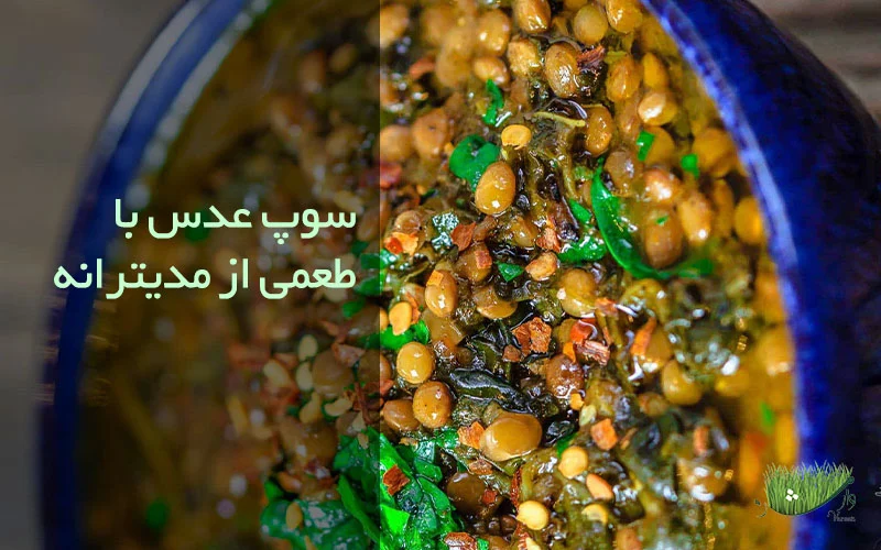 مزرعه وارش - طرز تهیه پخت سوپ عدس و اسفناج