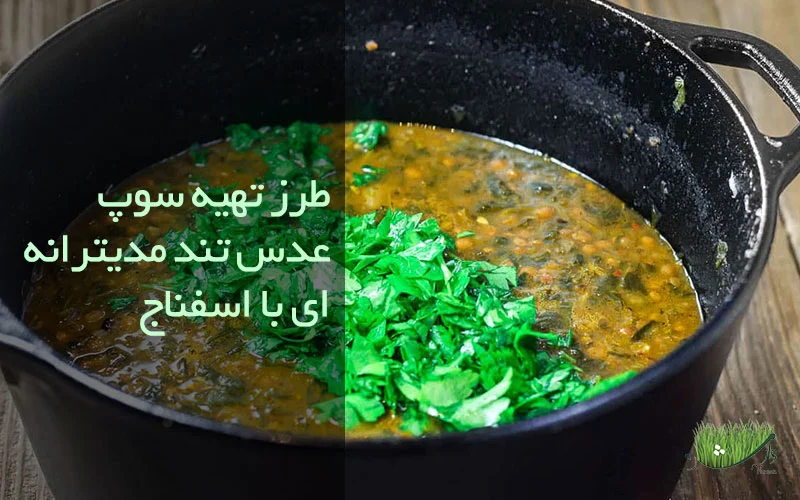 مزرعه وارش - سوپ عدس تند مدیترانه ای با اسفناج