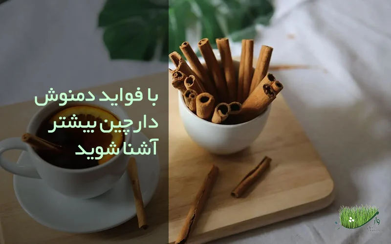 فواید دمنوش دارچین - خواص دمنوش دارچین / مزرعه وارش