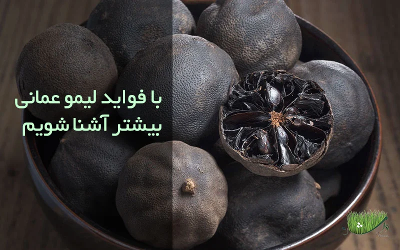 فواید لیمو عمانی / مزرعه وارش
