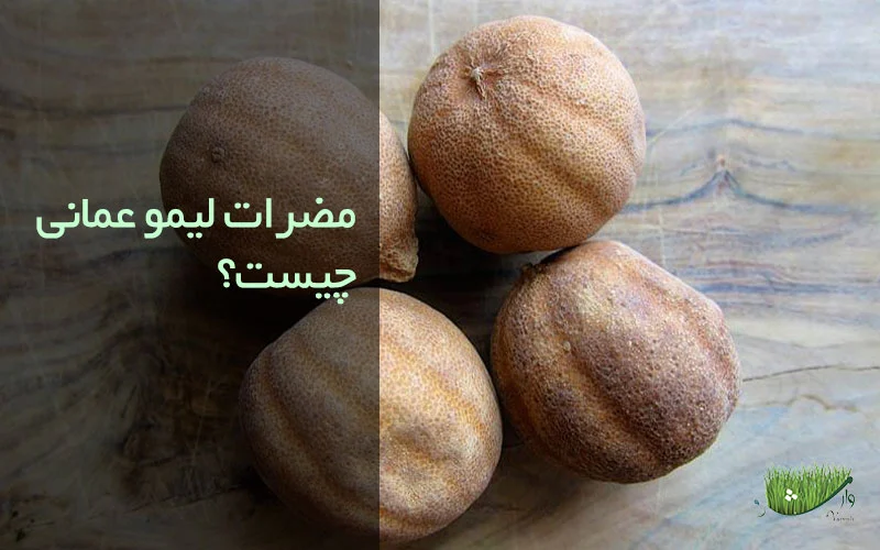 فواید لیمو عمانی - مضرات لیمو عمانی / مزرعه وارش