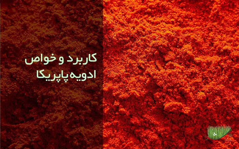 کاربرد و خواص ادویه پاپریکا / فروشگاه محصولات ارگانیک مزرعه وارش