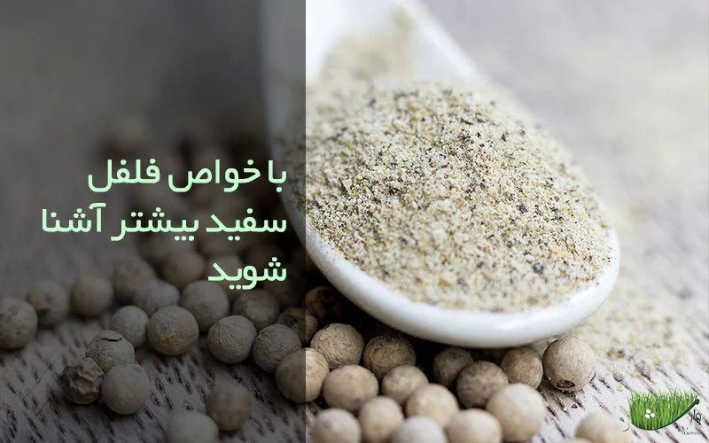 خواص فلفل سفید / مزرعه وارش