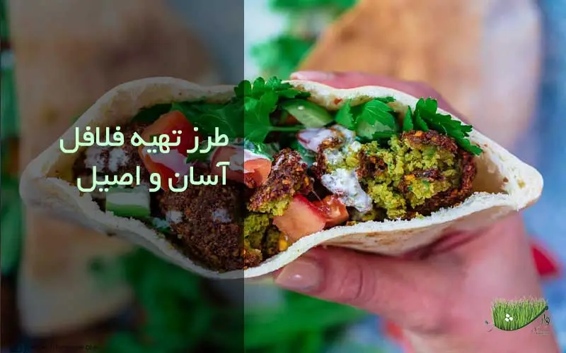 دستور پخت فلافل / مزرعه وارش