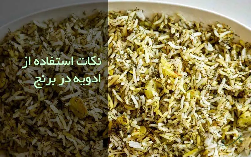 نکات انتخاب ادویه ارگانیک در برنج همراه با مزرعه وارش