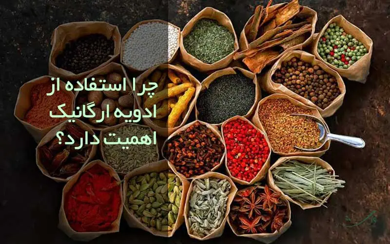 اشتباهات رایج هنگام استفاده از ادویه در غذا