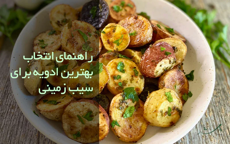 راهنمای انتخاب بهترین ادویه برای سیب زمینی در مزرعه وارش