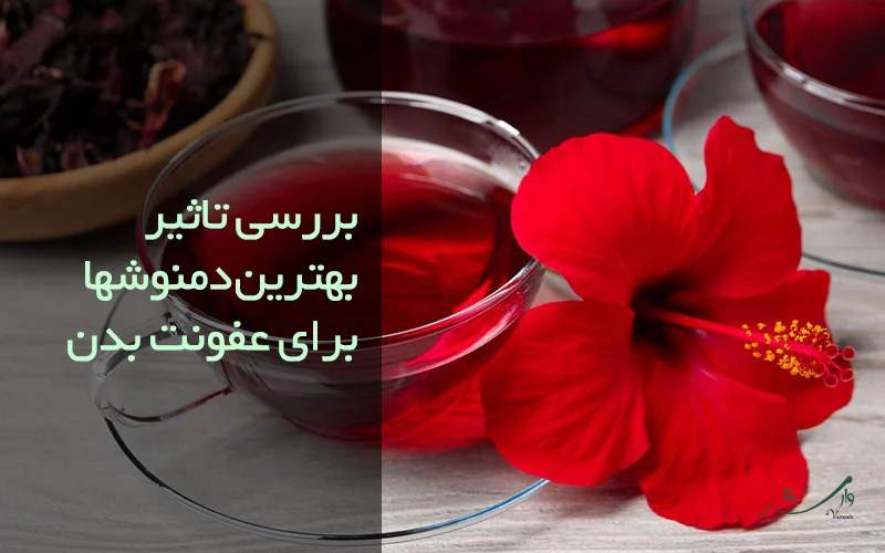 تصویر دمنوش برای رفع عفونت در بدن مزرعه وارش