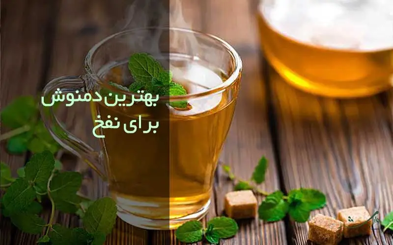 تصویر دمنوش نعناع در تیتر بهترین زمان نوشیدن دمنوش را برای بهبود نفخ مزرعه وارش