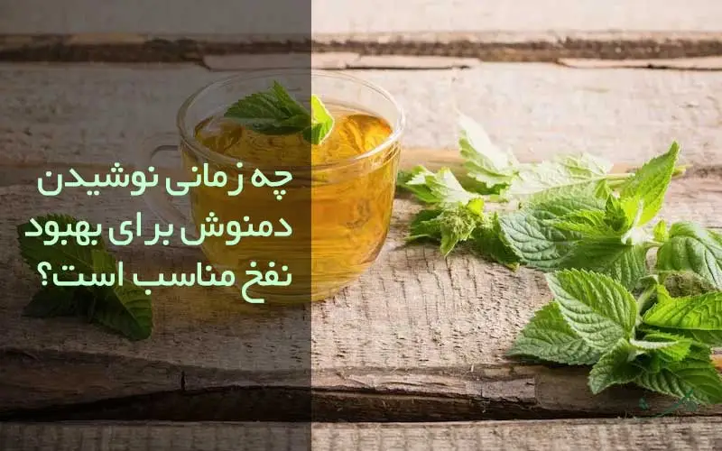تصویر دمنوش نعناع در بهترین دمنوش برای نفخ مزرعه وارش