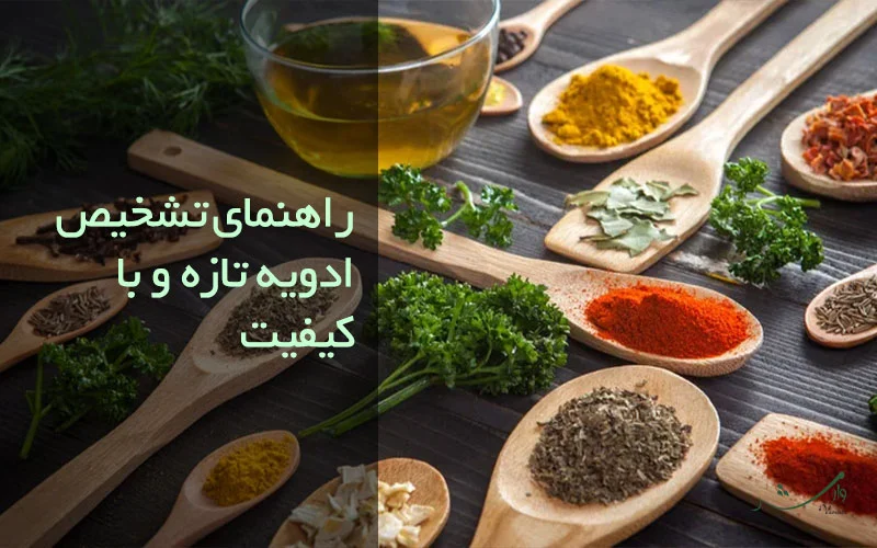 تصویر انواع ادویه در مقاله تشخیص ادویه تازه مزرعه وارش